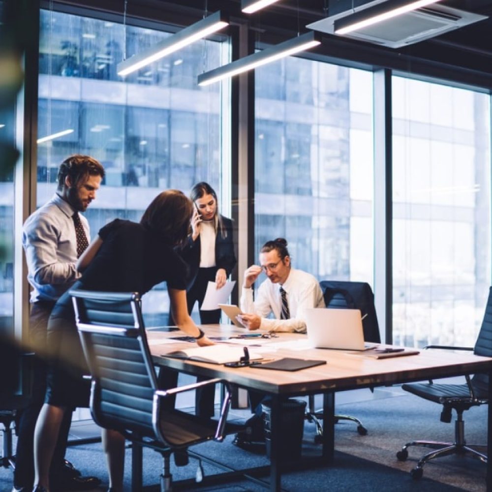 Business professionals in meeting